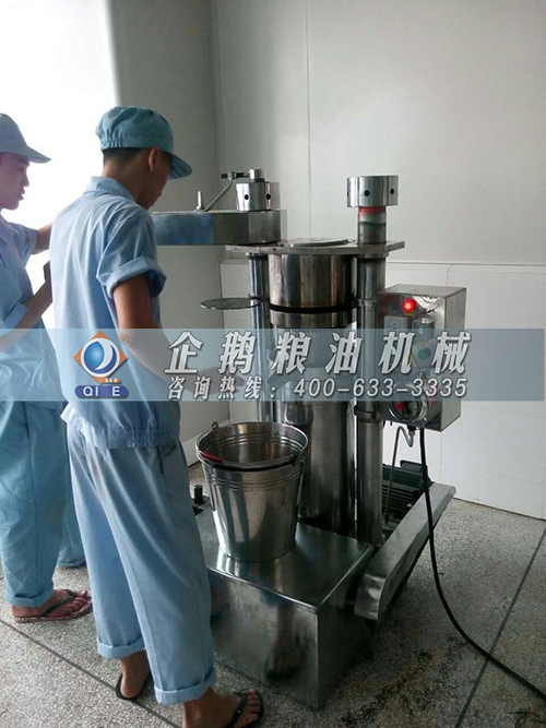 ���͙C(j��)